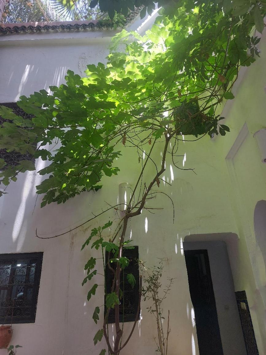 Riad Dar Lalla Fatna マラケシュ エクステリア 写真